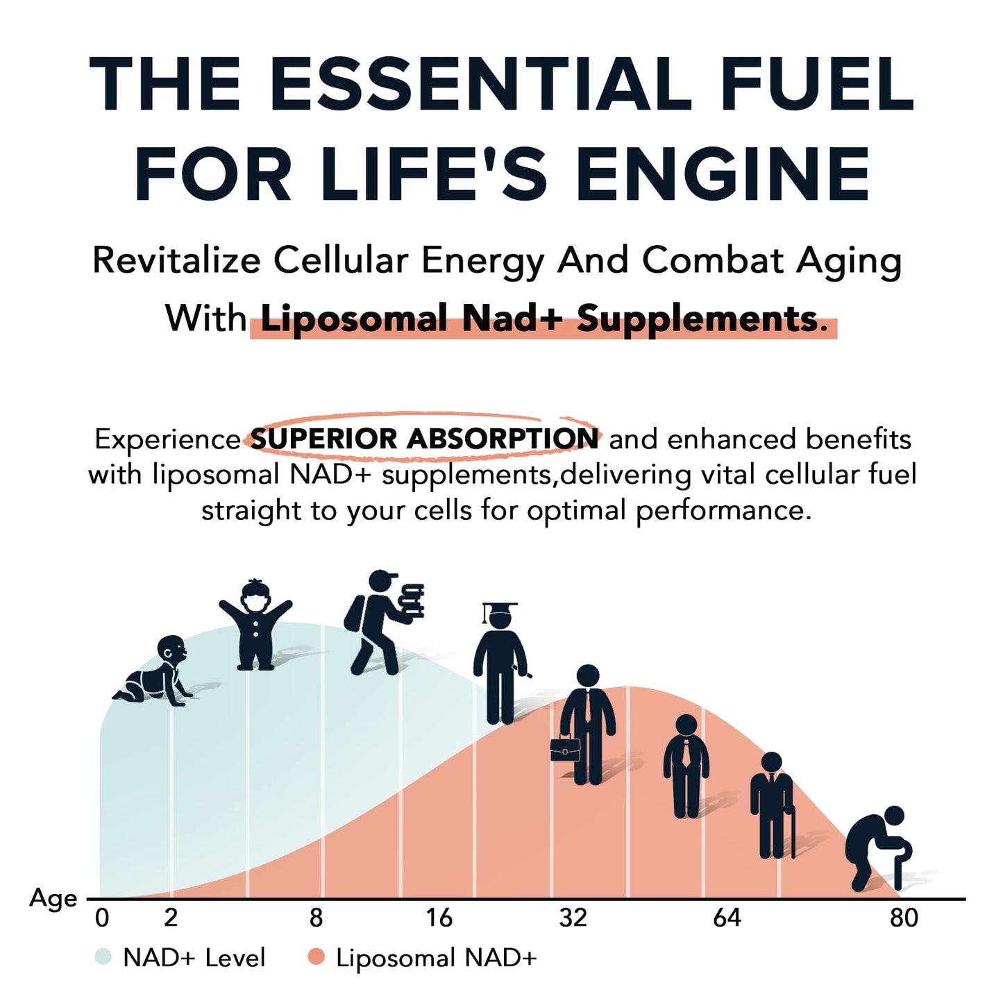 1600 mg Liposomal NAD+ Supplement – 98% Pure NAD+, Superior Absorption, 180 Softgels