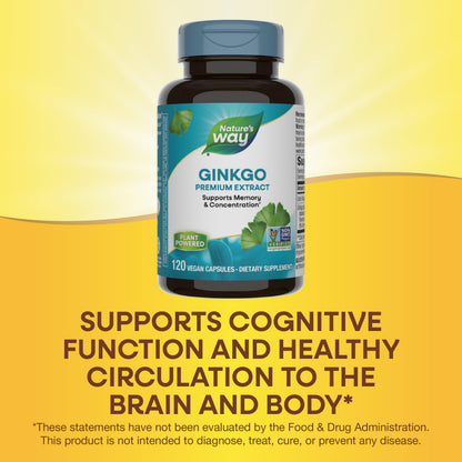 Nature's Way Premium Ginkgo Memory & Concentration – 120 Capsules