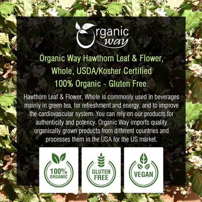 Organic Hawthorn Leaf & Flower Tea – Albanian Wild Harvest | Kosher & USDA
