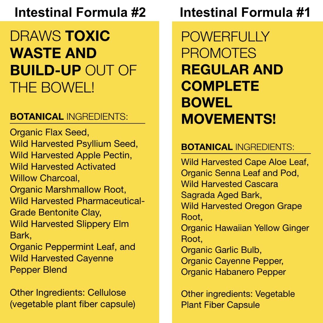 Dr. Schulze's Intestinal Formula #2 (8 oz) & Intestinal Formula #1 (90 capsules) - Organic Herbal Supplements