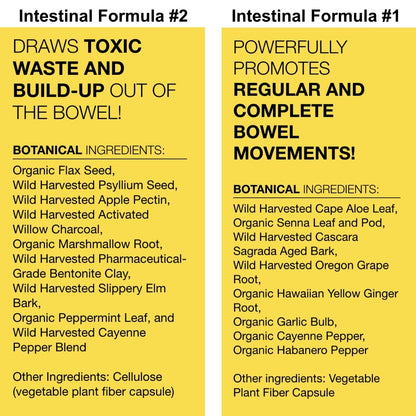 Dr. Schulze's Intestinal Formula #2 (8 oz) & Intestinal Formula #1 (90 capsules) - Organic Herbal Supplements