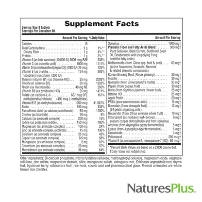 NaturesPlus Source of Life No Iron – Gluten-Free Vegetarian Multivitamin, 2-Pack (120 Servings)