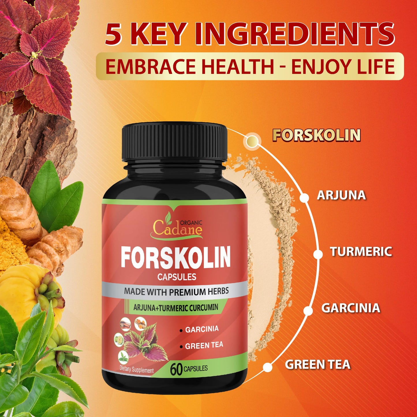Forskolin Supplements Capsules with Turmeric Curcumin, Arjuna, Garcinia Cambogia, Green Tea – 60 Capsules
