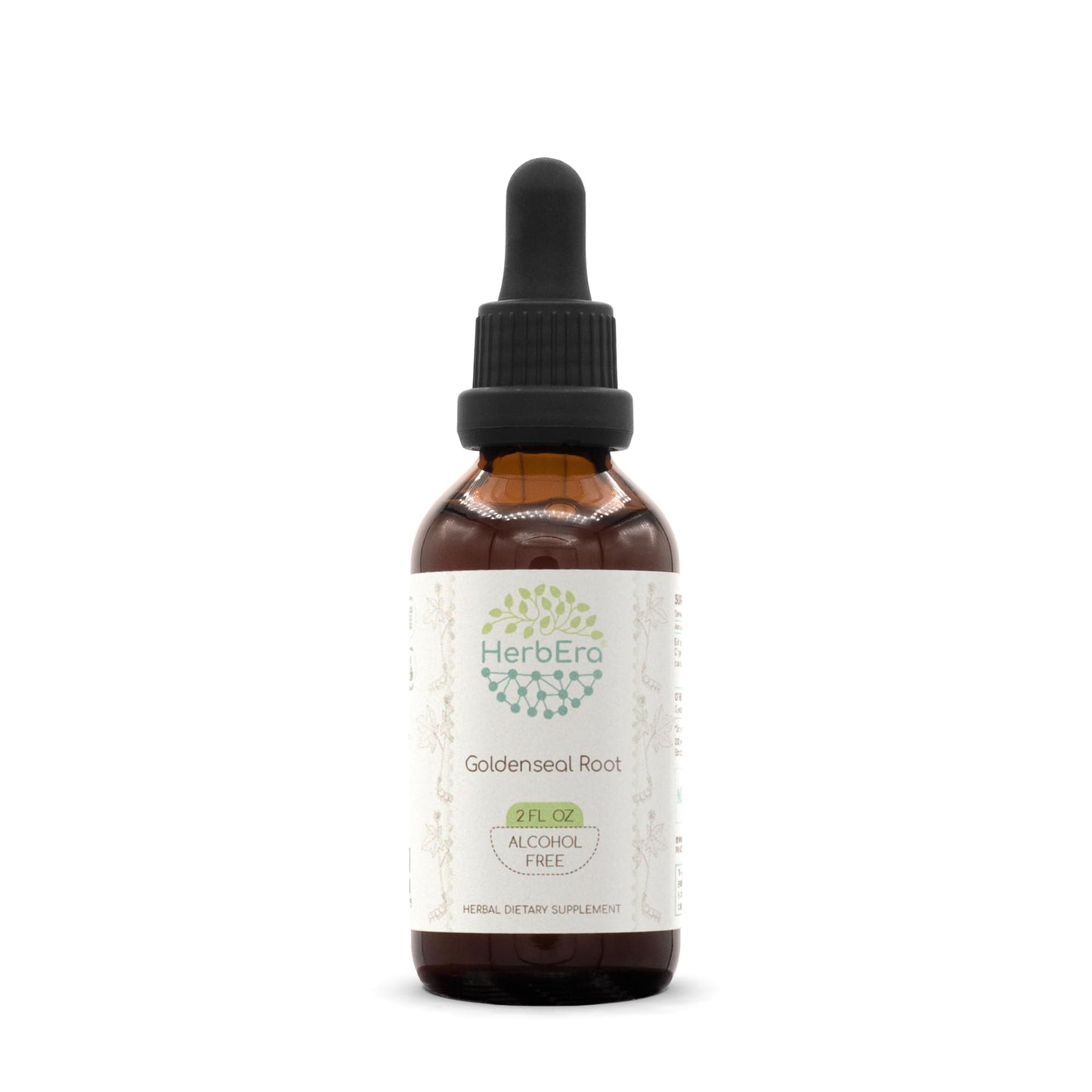 HerbEra Goldenseal Root B60 Alcohol-Free Tincture - 2 fl oz