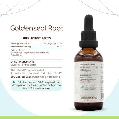 HerbEra Goldenseal Root B60 Alcohol-Free Tincture - 2 fl oz