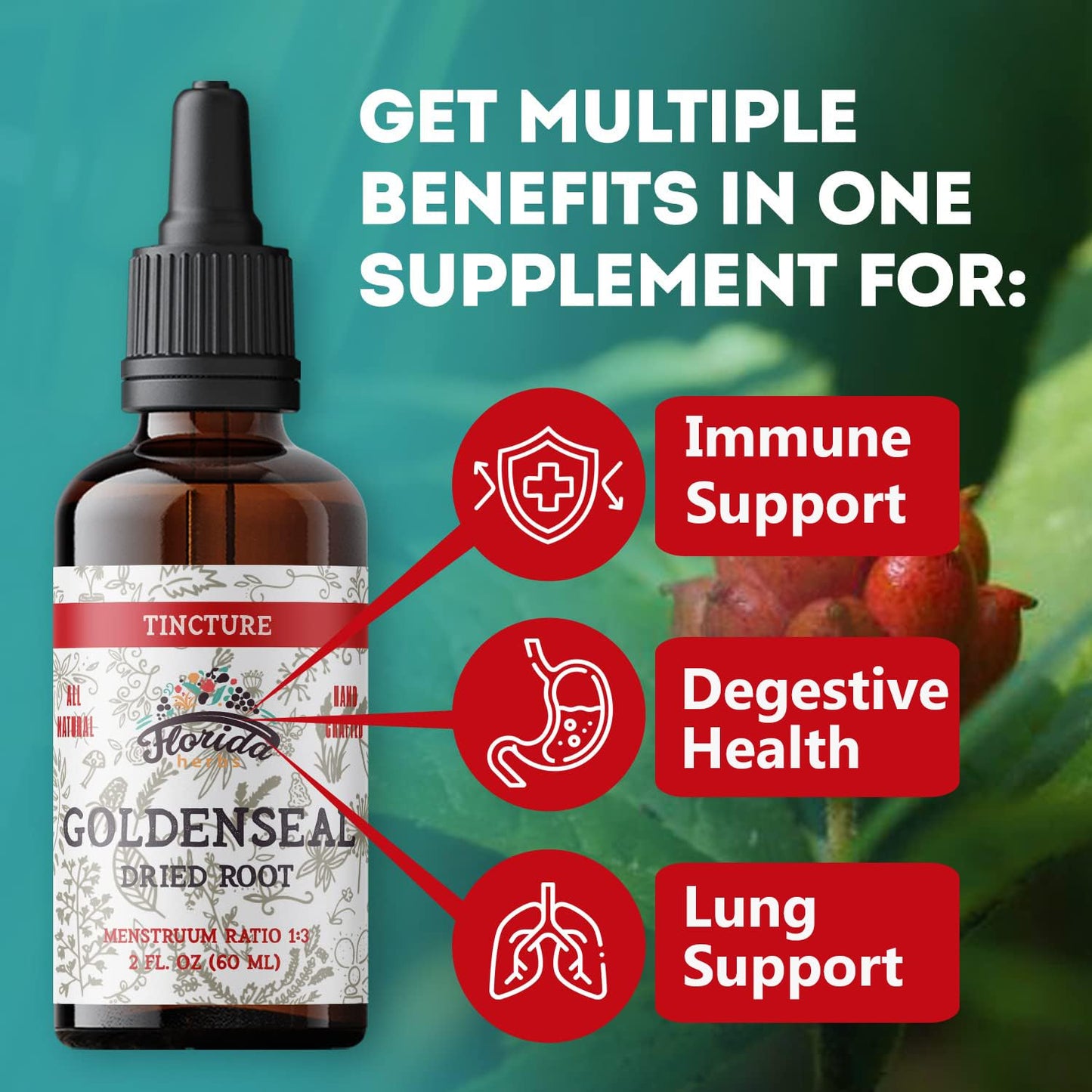 Goldenseal Tincture 2 oz – Organic Herbal Extract | Alcohol Free | Vegan Drops – Made in USA