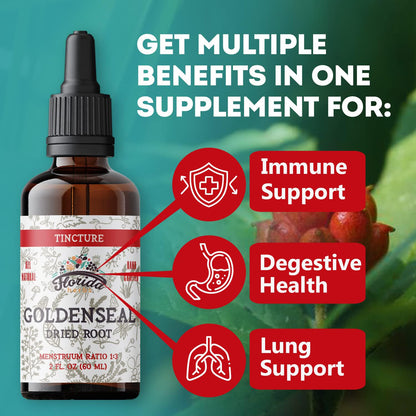 Goldenseal Tincture 2 oz – Organic Herbal Extract | Alcohol Free | Vegan Drops – Made in USA