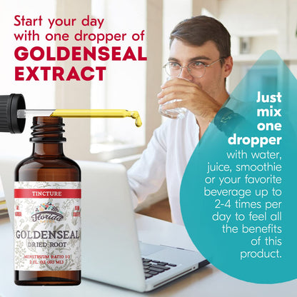 Goldenseal Tincture 2 oz – Organic Herbal Extract | Alcohol Free | Vegan Drops – Made in USA
