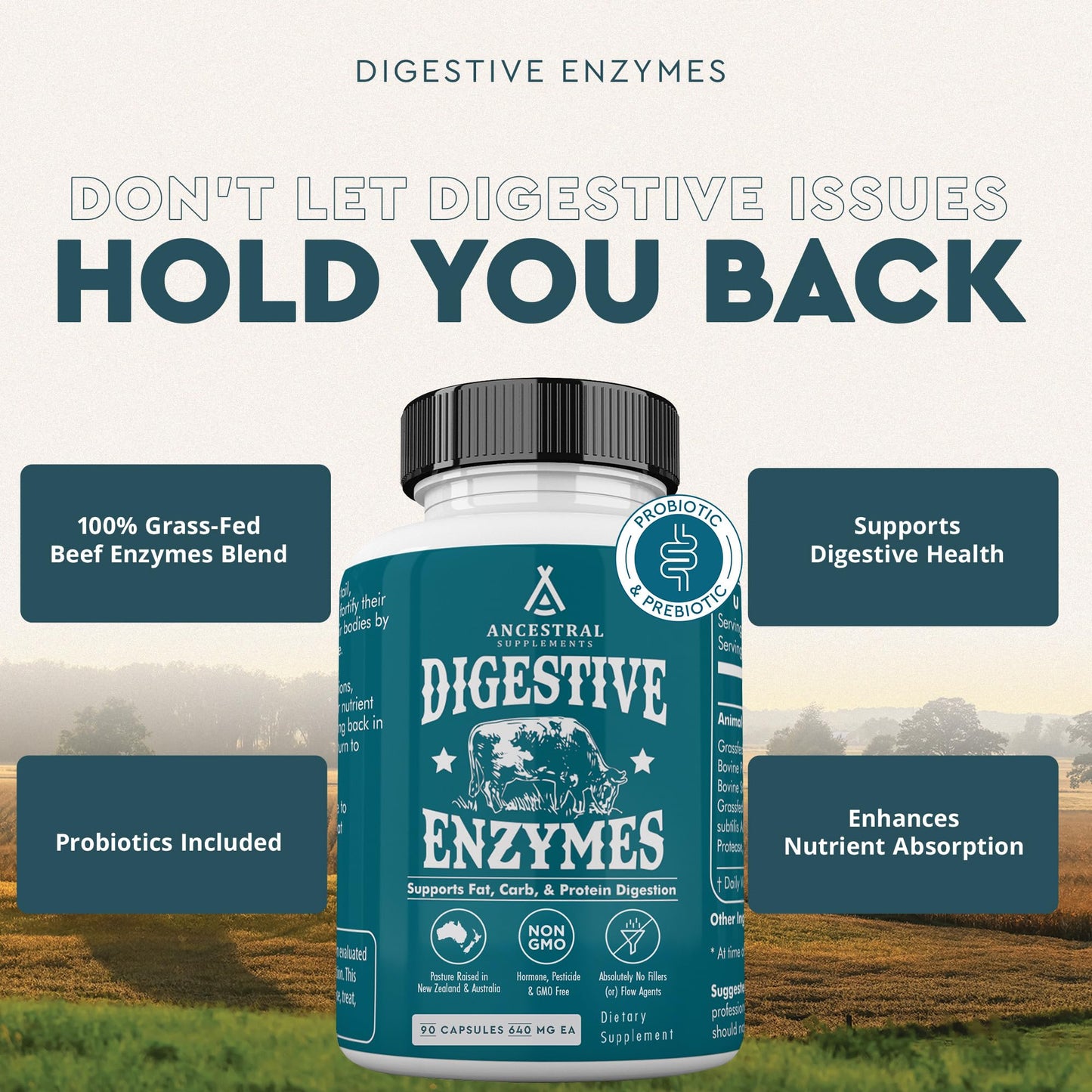 Ancestral Supplements Digestive Enzymes for Women & Men – Probiotics & Grass-Fed Organs, 90 Capsules