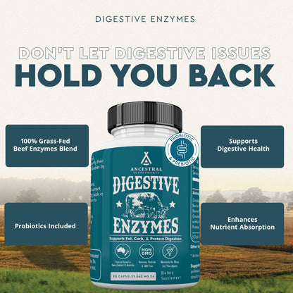 Ancestral Supplements Digestive Enzymes for Women & Men – Probiotics & Grass-Fed Organs, 90 Capsules
