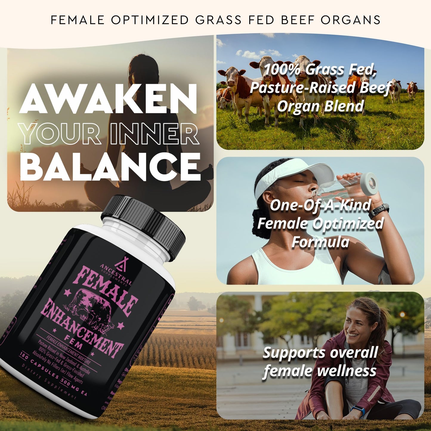 Beef Organ Supplement for Women – Hormone Balance, Energy & Wellness