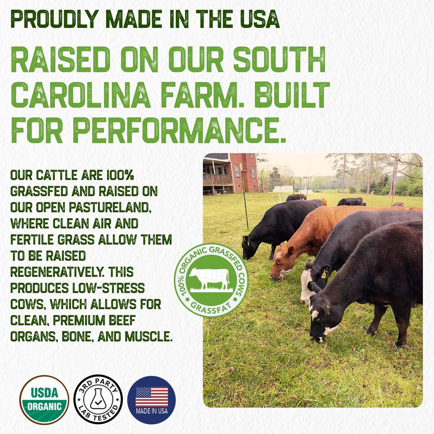 Grassfat USDA Organic 100% Grassfed Beef Organs Supplement – Made in USA | 30 Servings