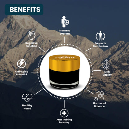 Grassit Shilajit Resin 10G - 85+ Minerals & Fulvic Acid for Energy, Focus & Immunity