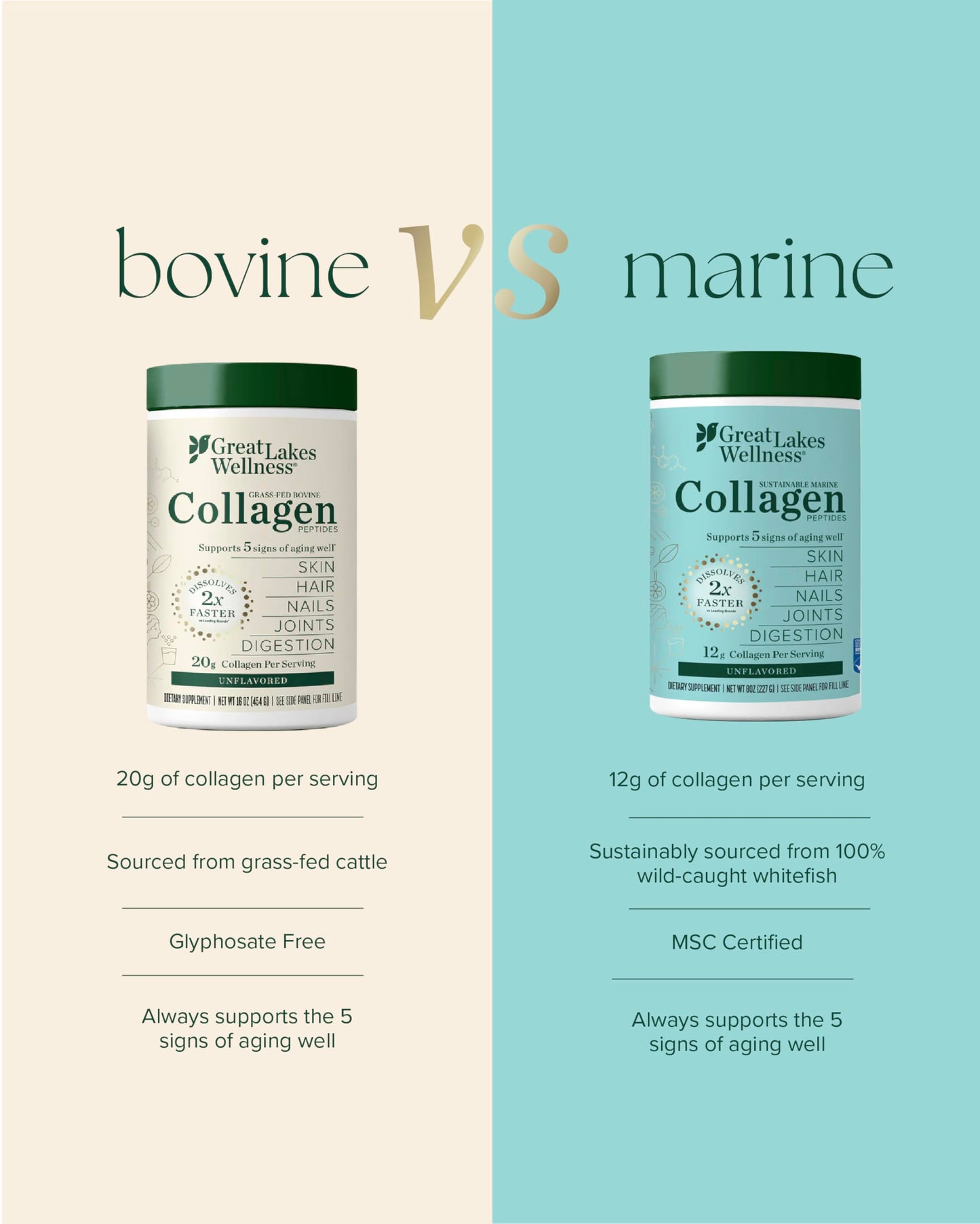Great Lakes Wellness Marine Collagen Peptides Powder – Unflavored, 16 oz (Wild-Caught, MSC Certified)