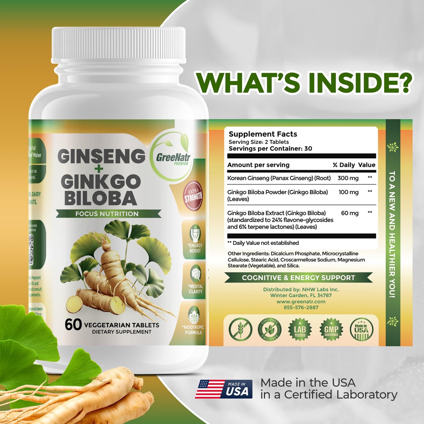 GreeNatr Ginko Biloba & Panax Ginseng – Brain Support & Focus (3 Bottles)