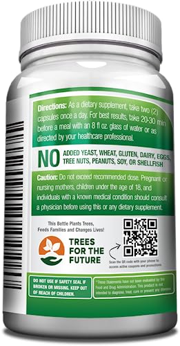 GreeNatr Pure Moringa Oleifera Capsule 1000 mg | Natural Energy & Focus | Premium Green Superfood (3 Bottles)