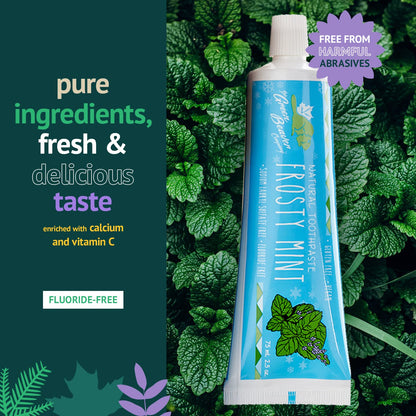 Green Beaver All Natural Toothpaste – Vegan, Fluoride Free, Gluten Free – Frosty Mint 75ml (3 Pack)