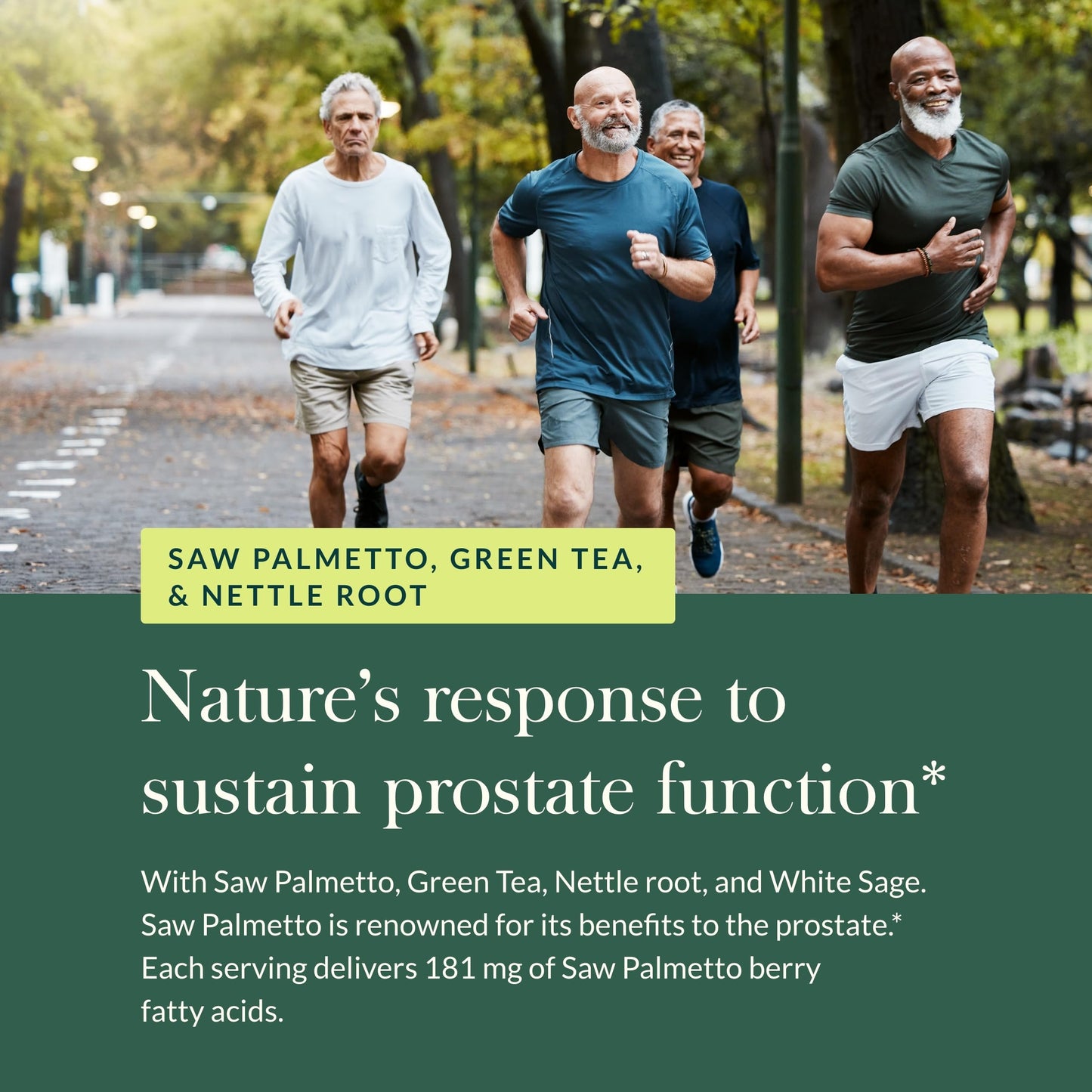Gaia Herbs Prostate Health - Supports Prostate Function with Saw Palmetto, Green Tea, Nettle Root & White Sage - 120 Vegan Liquid Phyto-Caps (60 Servings)