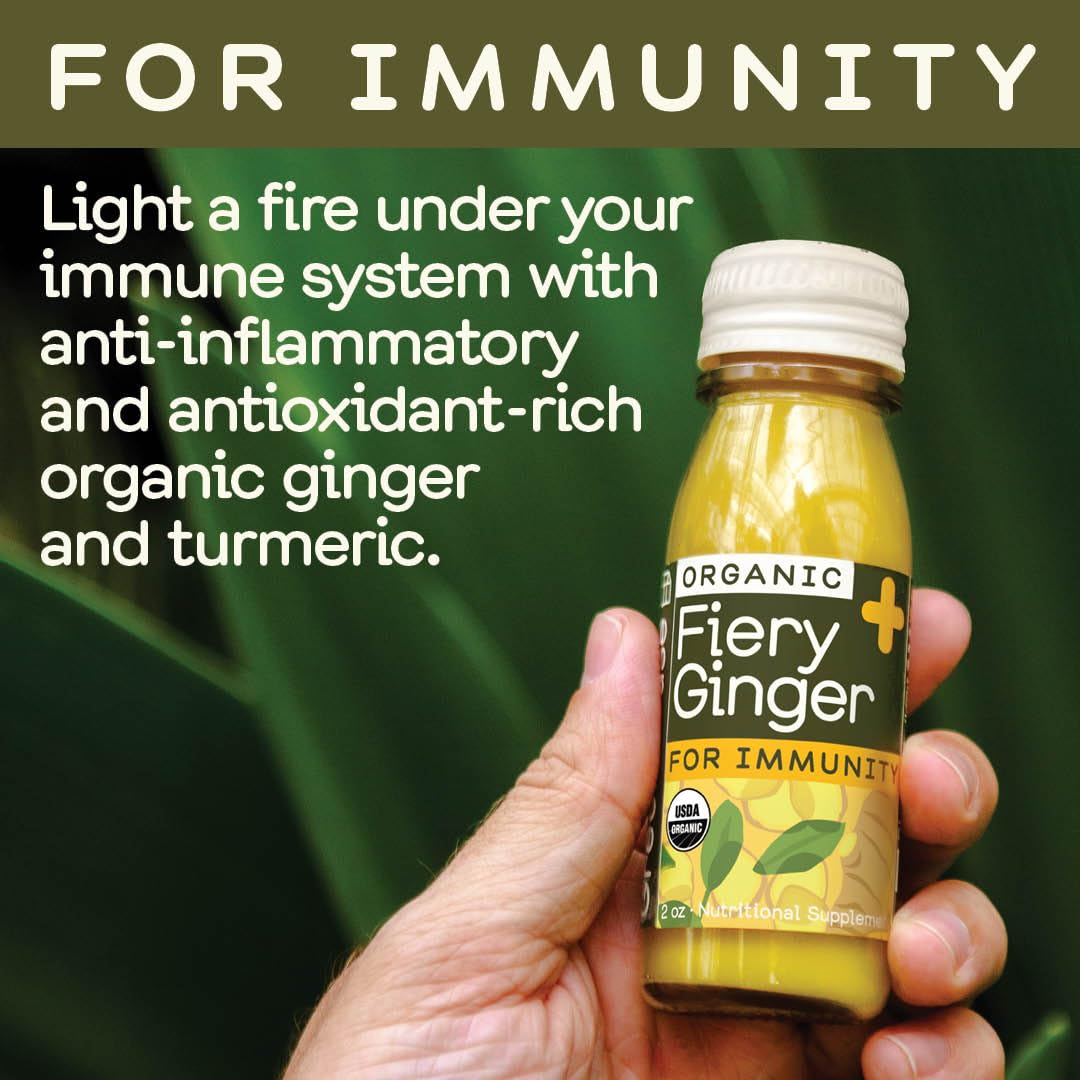 Greenhouse Juice Co. Fiery Ginger & Turmeric Wellness Shot – Immune Support, Vegan & Gluten-Free, 12-Count 60ml Glass Bottles