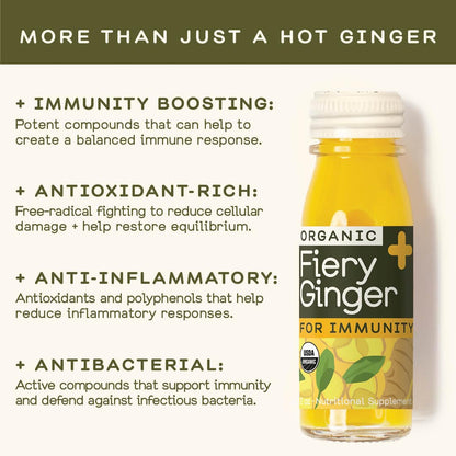 Greenhouse Juice Co. Fiery Ginger & Turmeric Wellness Shot – Immune Support, Vegan & Gluten-Free, 12-Count 60ml Glass Bottles