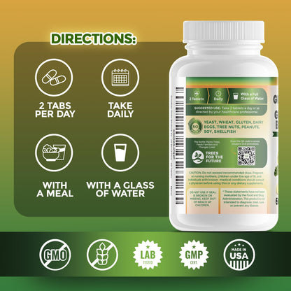 GreeNatr Ginko Biloba & Panax Ginseng – Brain Support & Focus (3 Bottles)