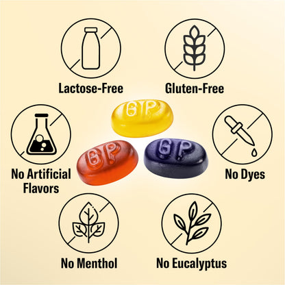 Grether's Sugarfree Pastilles Ginger Lemon, Blackcurrant & Blueberry – Dry Mouth Relief, Soothing Throat & Healthy Voice – 3 Pack
