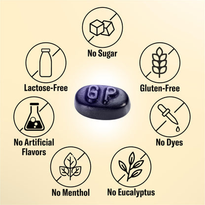 Grether's Sugarfree Blackcurrant Pastilles – Dry Mouth Relief
