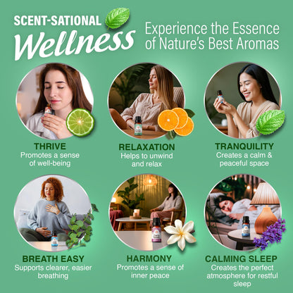 GuruNanda Essential Oil Blends (Set of 6) – 6-Pack Aromatherapy Oils for Diffusers