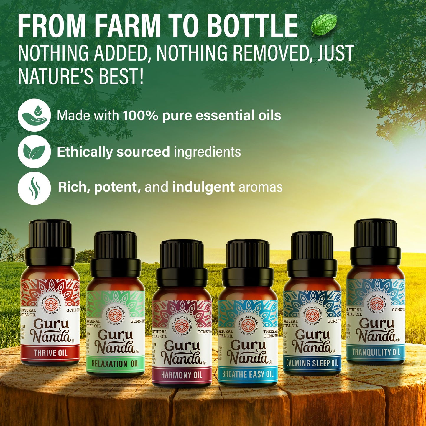 GuruNanda Essential Oil Blends (Set of 6) – 6-Pack Aromatherapy Oils for Diffusers
