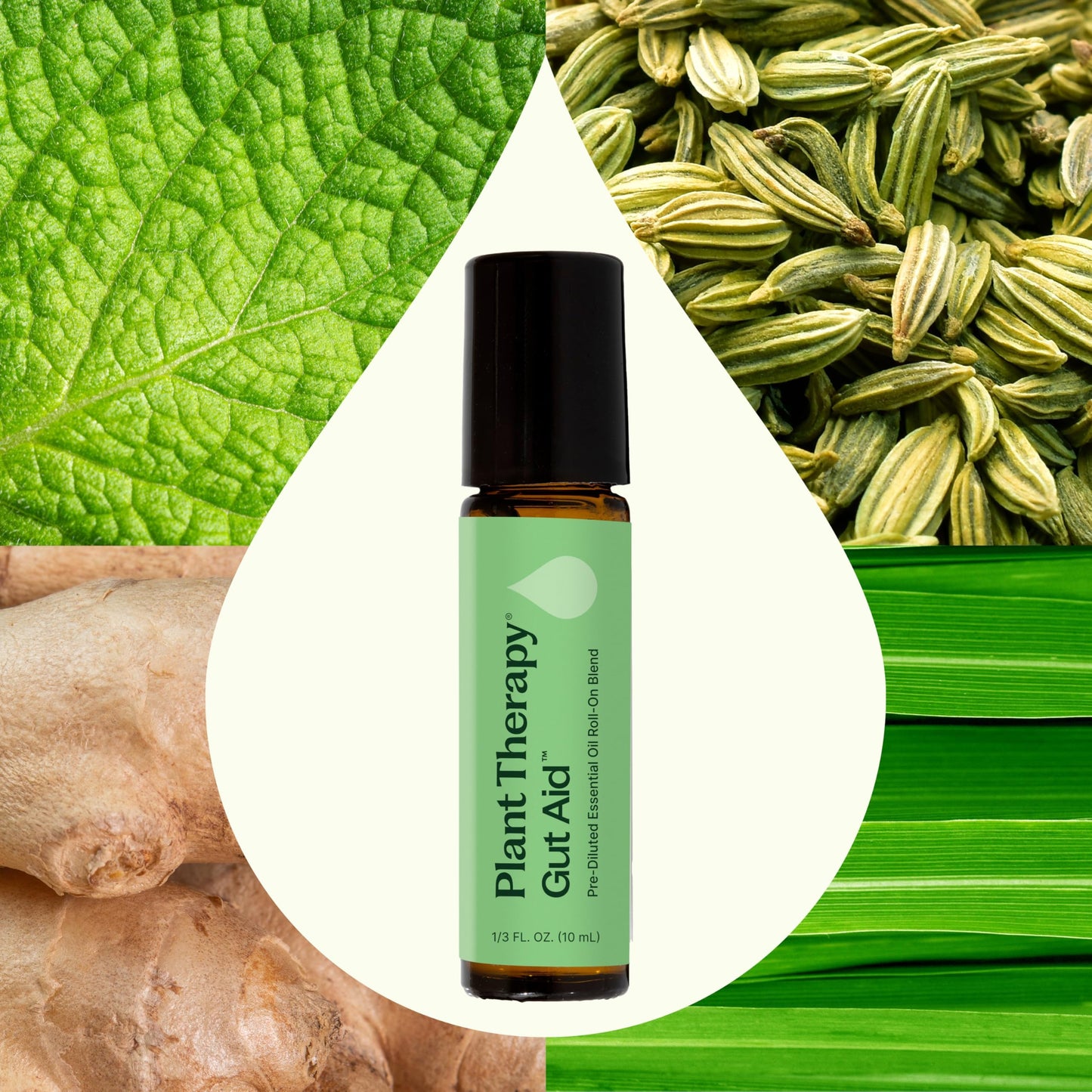 Plant Therapy Gut Aid Essential Oil Blend Roll-On 10 mL – Natural Digestion Support