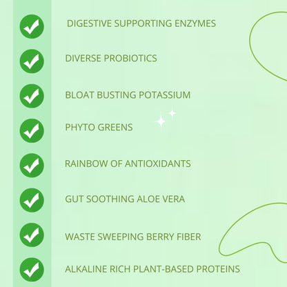 Gut-Duction Bloat Control – Gut Health Superfood Formula | Plant-Based Protein & Probiotics