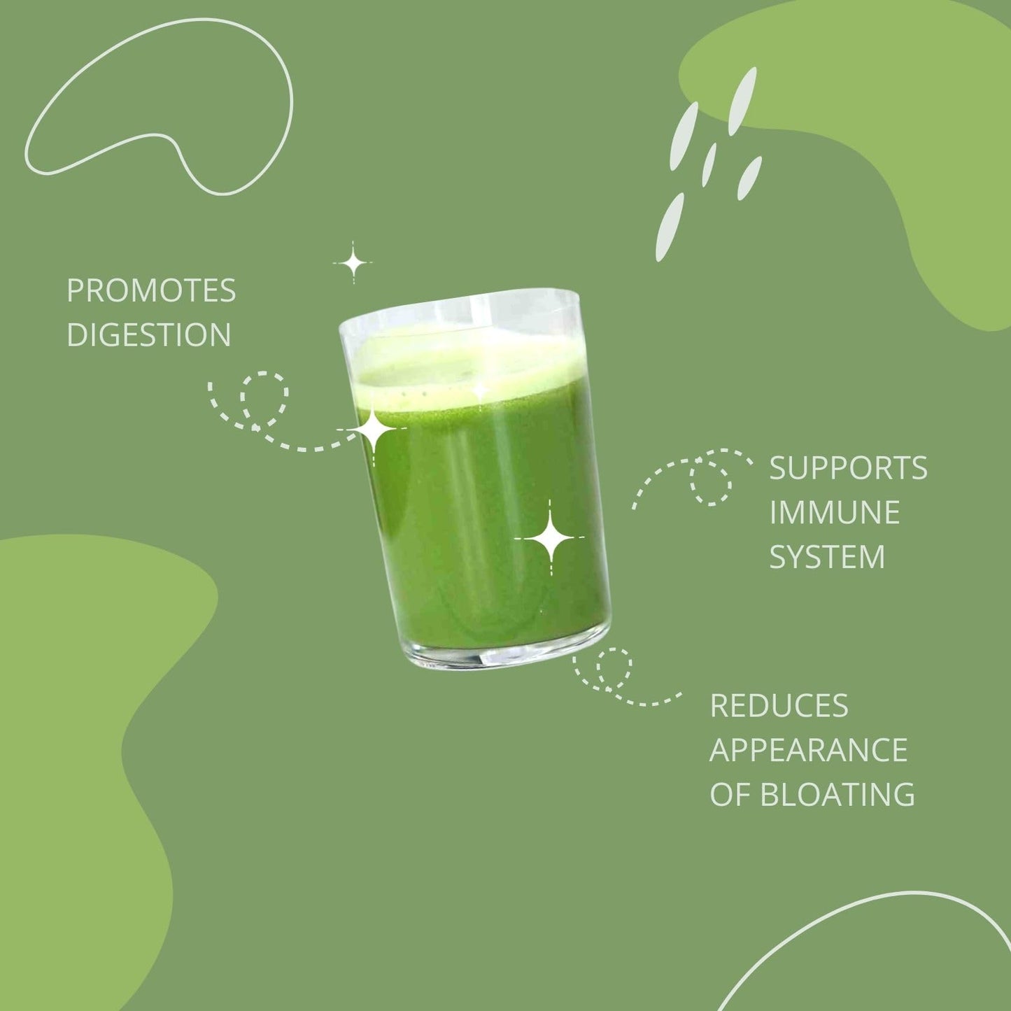 Gut-Duction Bloat Control – Gut Health Superfood Formula | Plant-Based Protein & Probiotics