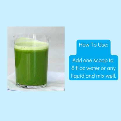 Gut-Duction Bloat Control – Gut Health Superfood Formula | Plant-Based Protein & Probiotics
