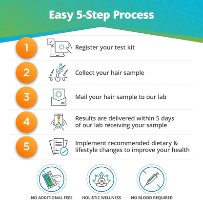 5Strands Food Intolerance Test – At-Home Hair Analysis, 658 Items, 4-Day Results