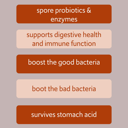 New Bacillus B3 Probiotic Complex & Enzymes – 60 Capsules (100% Spore-Based SBO)