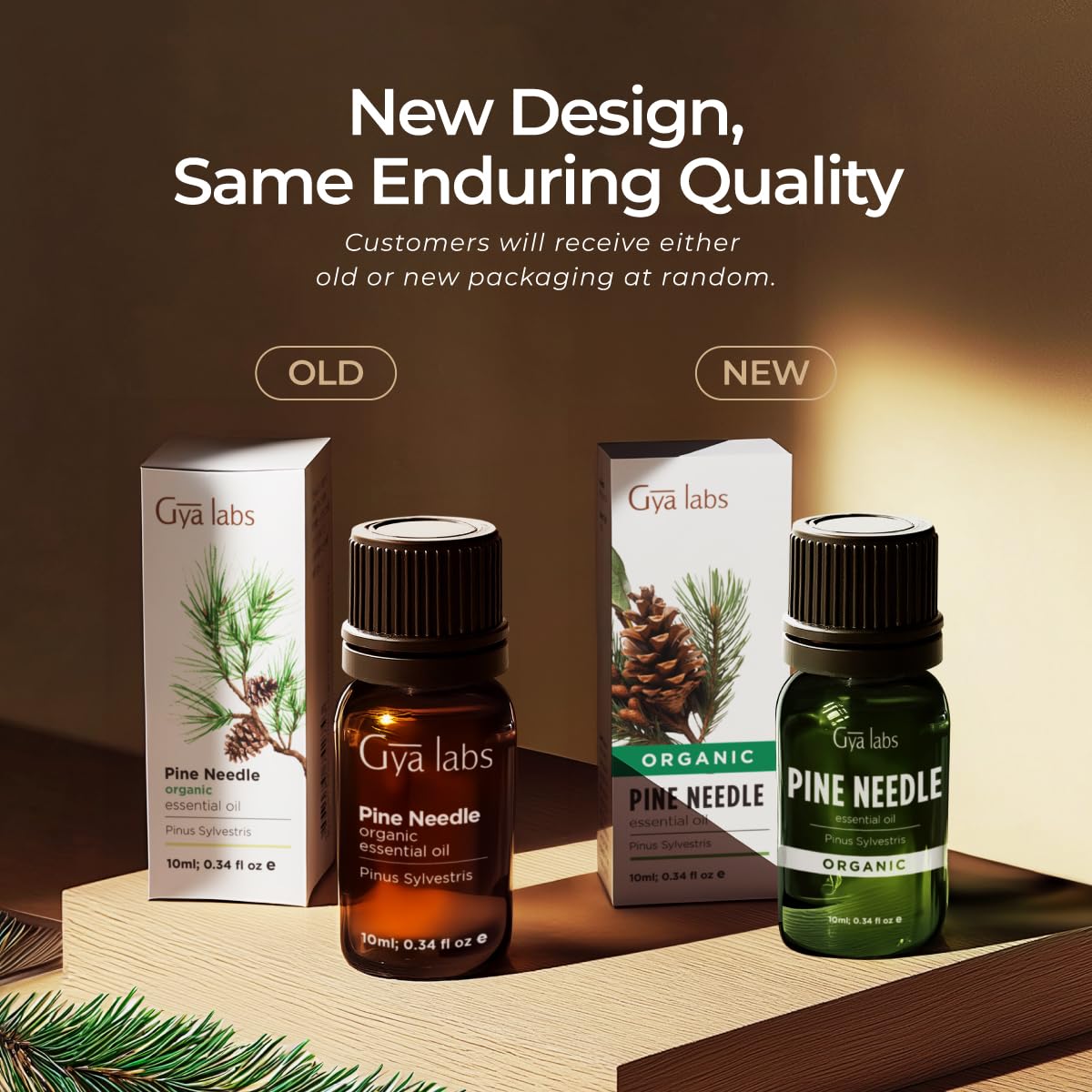 Gya Labs Organic Pine Needle Essential Oil – 0.34 fl oz | Diffuser, Skin, Hair, DIY Candle Making
