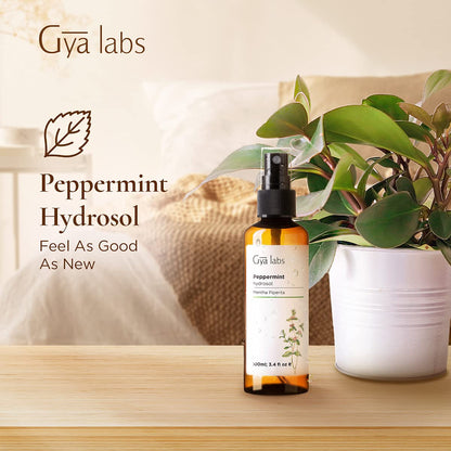 Gya Labs Peppermint Hydrosol – 3.4 fl oz | Face & Body Mist, Pillow & Linen Spray