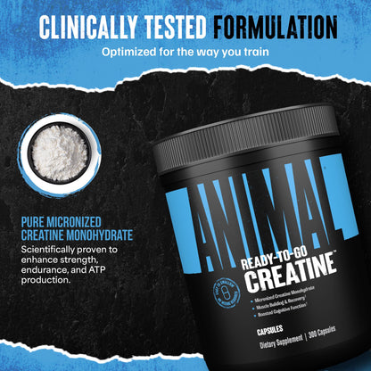 Animal Micronized Creatine Monohydrate Capsules – 300 Caps, 2.5g Per Serving