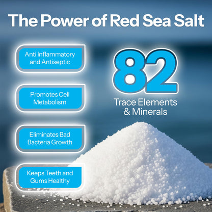 H2Ocean Healing Rinse – Alcohol & Fluoride Free Sea Salt Mouthwash, Arctic Ocean Mint, 16 oz