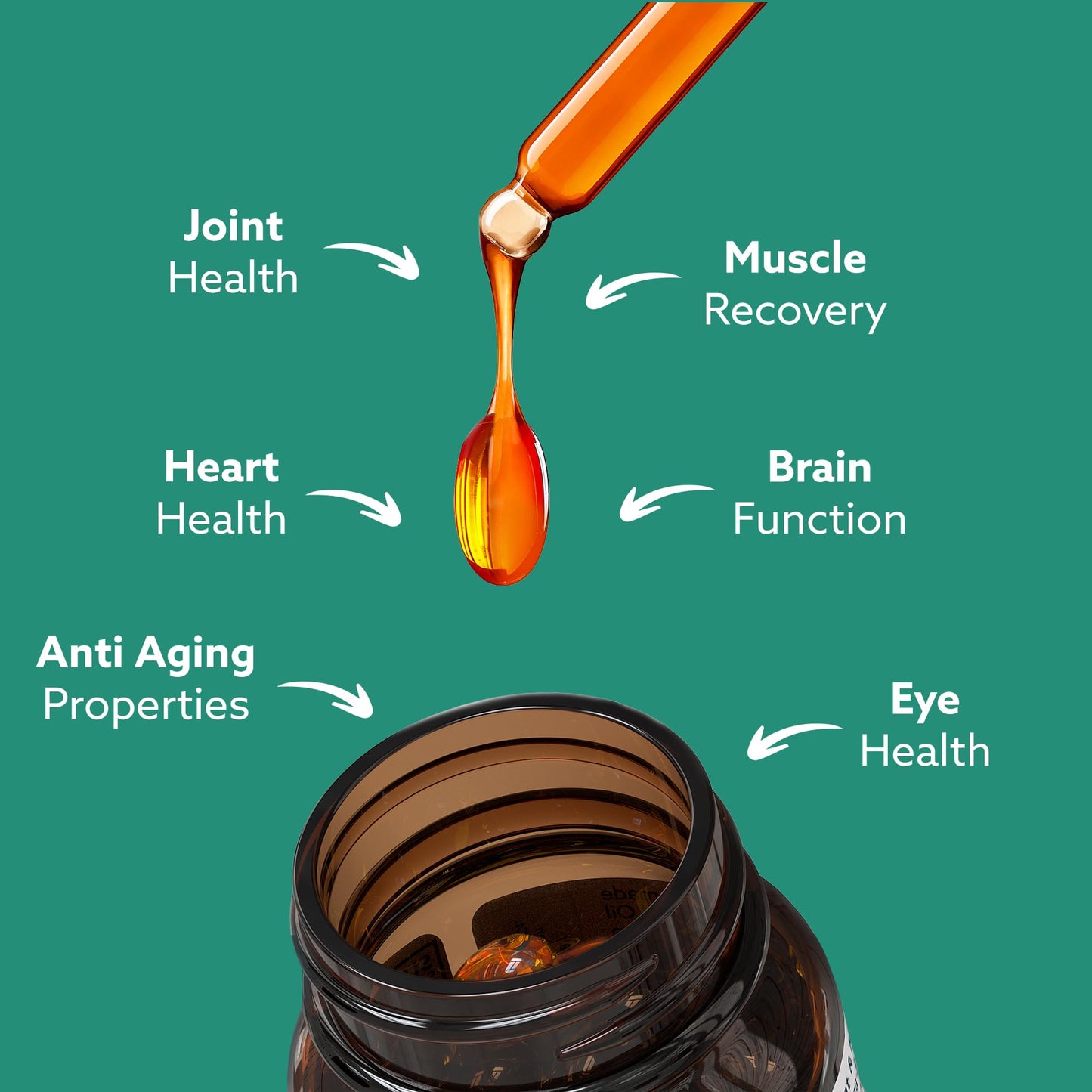 GLX3 Joint Support Omega-3 – NZ Green-Lipped Mussel Oil | HAKA Life Nutrition