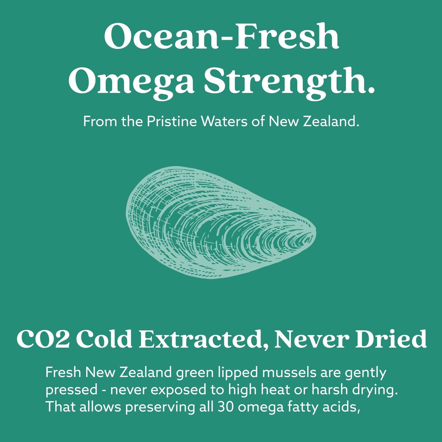 GLX3 Joint Support Omega-3 – NZ Green-Lipped Mussel Oil | HAKA Life Nutrition