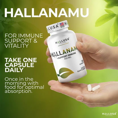 Hallusa Natural Anamu Root 450 mg – Organic Anamu Capsules (Petiveria alliacea) – Immune Support & Energy – 100 Capsules