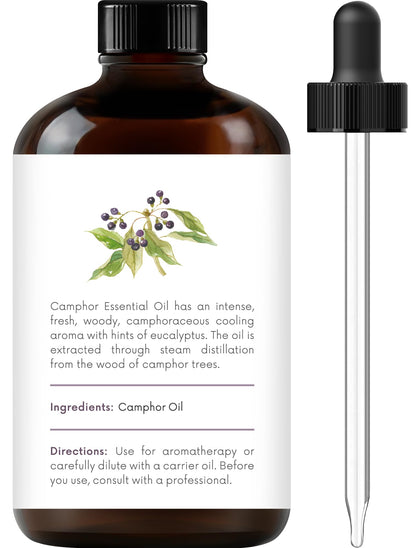 Handcraft Blends Camphor Essential Oil – 4 oz, 100% Pure & Natural