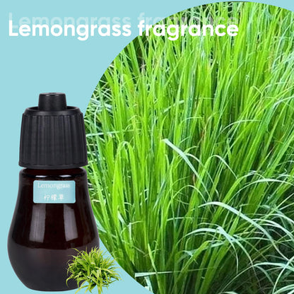 HAPPTWS Aromatherapy Essential Oil Set – 3-Piece Diffuser Oils: Eucalyptus, Lemongrass, Orange