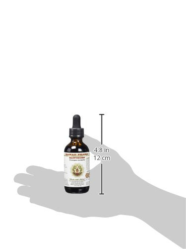 Hawthorn Alcohol-Free Liquid Extract – Organic Hawthorn Glycerite 2 oz