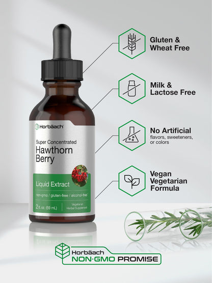 Horbäach Hawthorn Berry Extract | 2 fl oz Alcohol-Free Tincture | Vegetarian, Non-GMO, Gluten Free