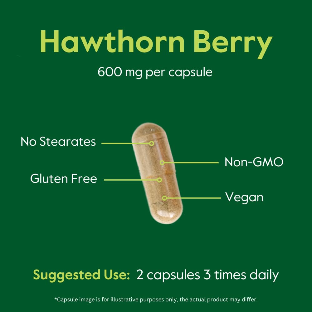 BESTVITE Hawthorn Berry 600 mg – 240 Vegetarian Capsules – No Stearates, No Fillers, Vegan, Non-GMO, Gluten Free