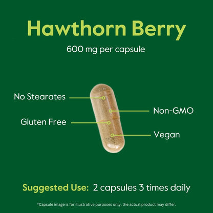 BESTVITE Hawthorn Berry 600 mg – 240 Vegetarian Capsules – No Stearates, No Fillers, Vegan, Non-GMO, Gluten Free