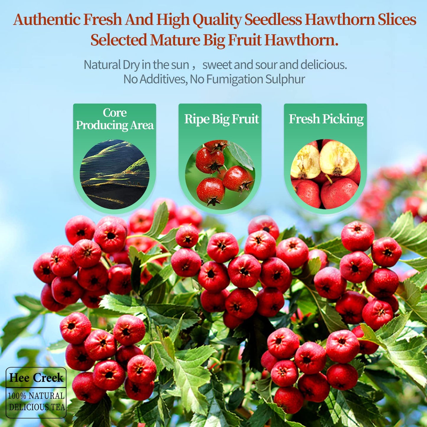 Hee Creek Hawthorn Berry Tea – Seedless Dried Hawthorn Slices, 7.06oz/200g, Sun-Dried Hawthorn for Tea Infusion