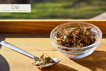Organic Hawthorn Leaf & Flower Tea – Albanian Wild Harvest | Kosher & USDA